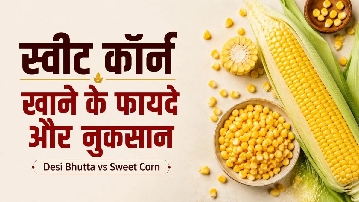 Sweet corn benefits and side effects, Desi Bhutta vs Sweet Corn nutrition values