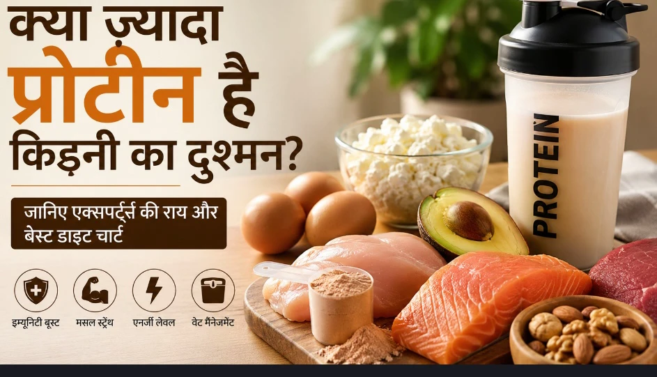healthupdate.in वेबसाइट का स्क्रीनशॉट, जिसमें हिंदी में लेख का शीर्षक 'क्या ज्यादा प्रोटीन है किडनी का दुश्मन? जानिए एक्सपर्ट्स की राय और बेस्ट डाइट चार्ट' लिखा है।