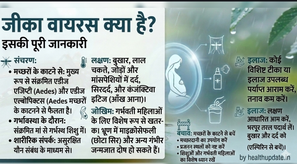 Zika Virus symptoms prevention and treatment infographic in Hindi by healthupdate.in